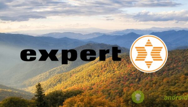 expert