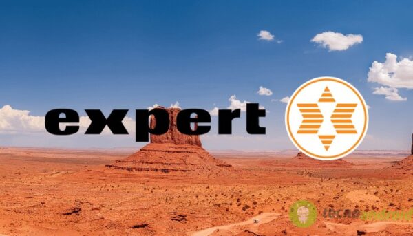 expert