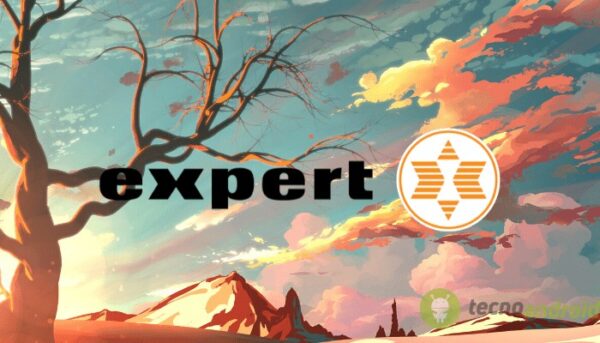 expert