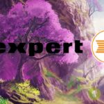 expert