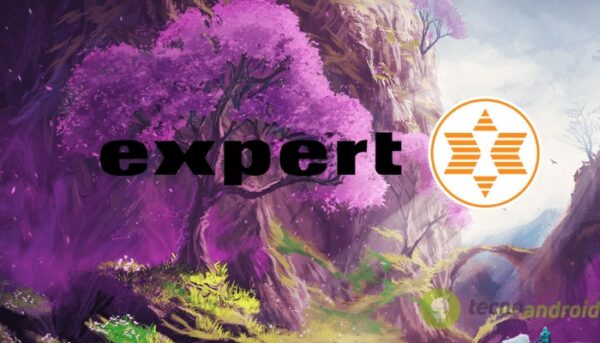 expert