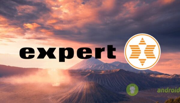 expert