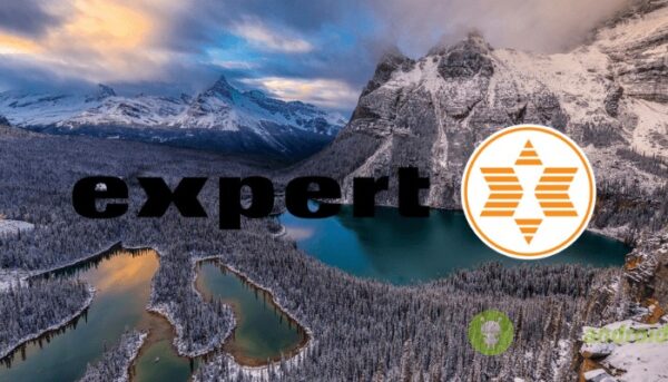 expert