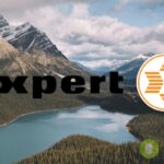expert