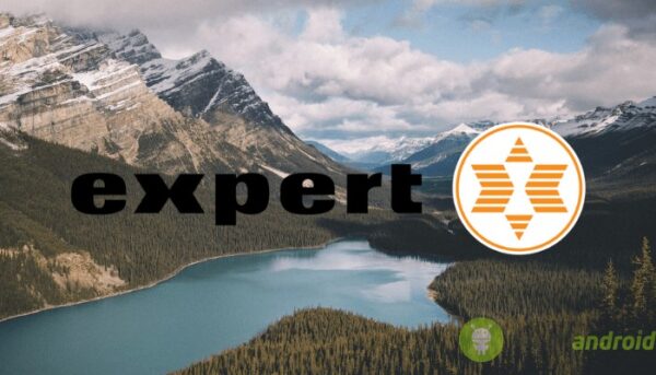 expert