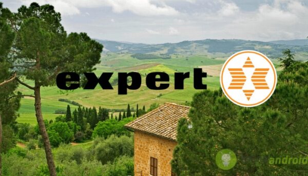 expert
