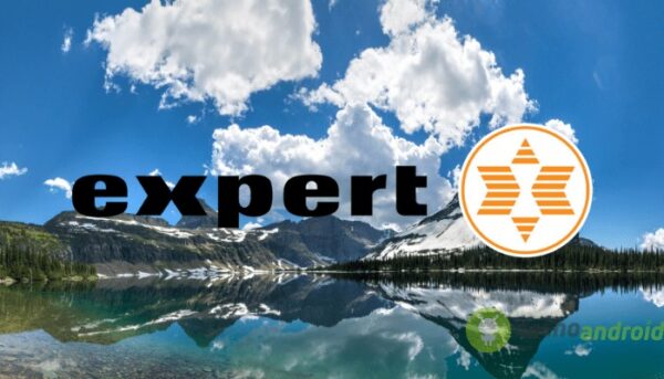 expert