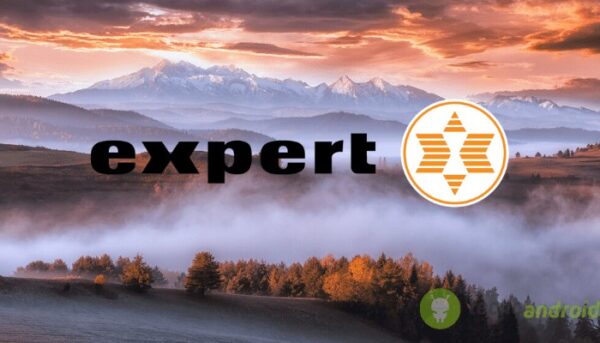 expert