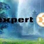 expert