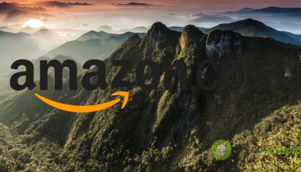amazon