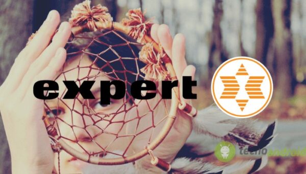 expert