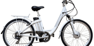 bonus bici elettriche
