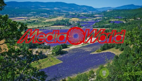 mediaworld