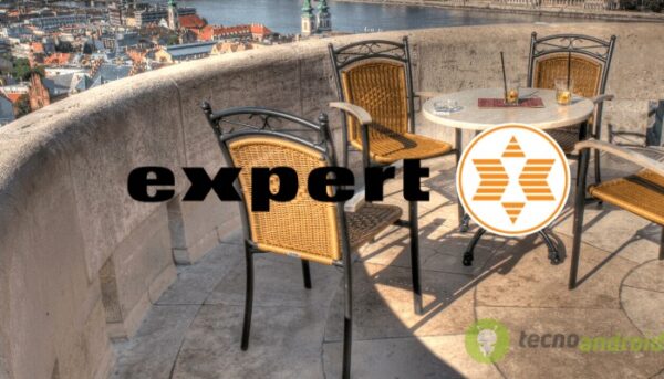 expert