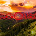 mediaworld