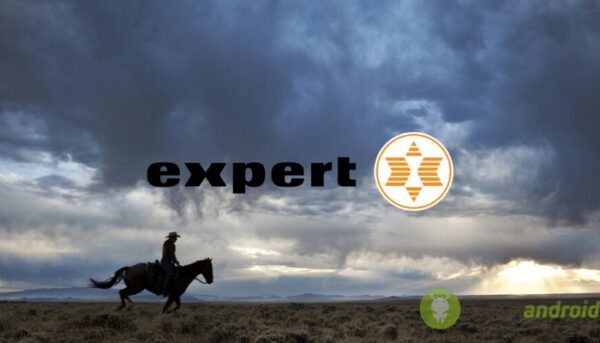 expert