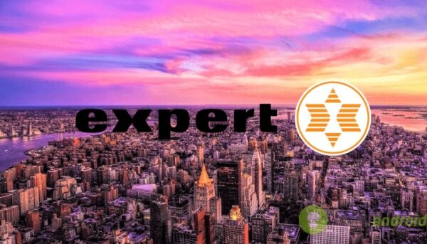 expert