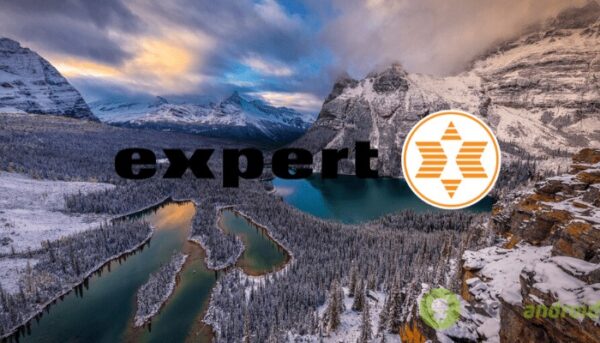 expert