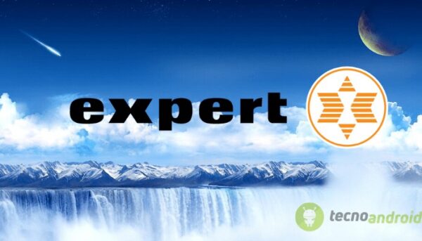 expert