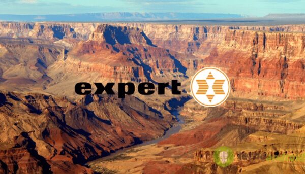 expert