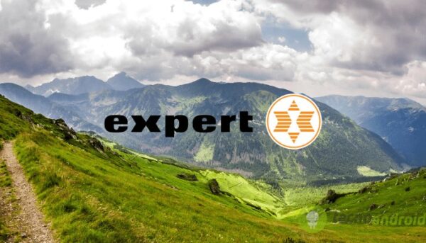 expert