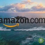 amazon