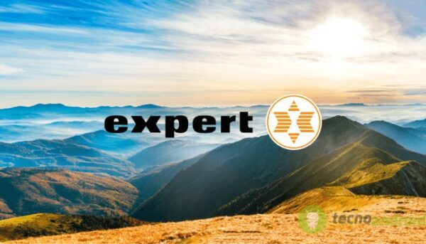 expert