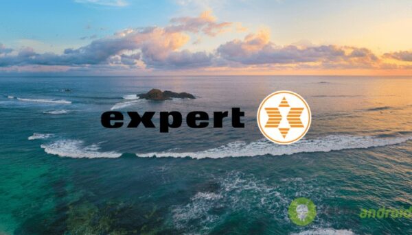 expert