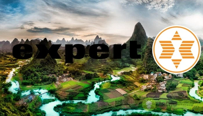 expert