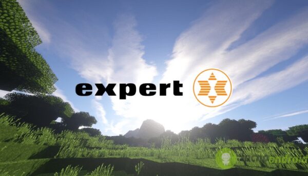 expert