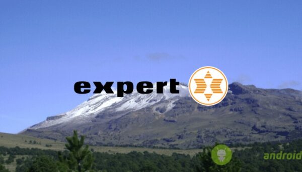 expert