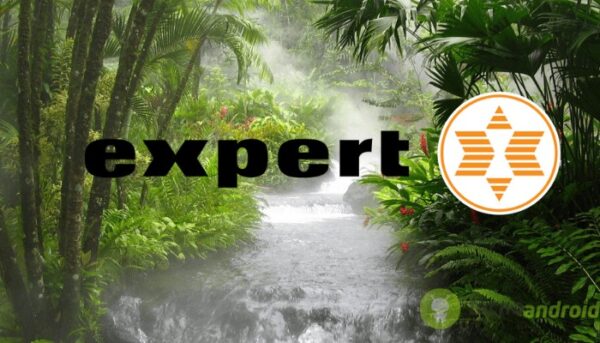 expert