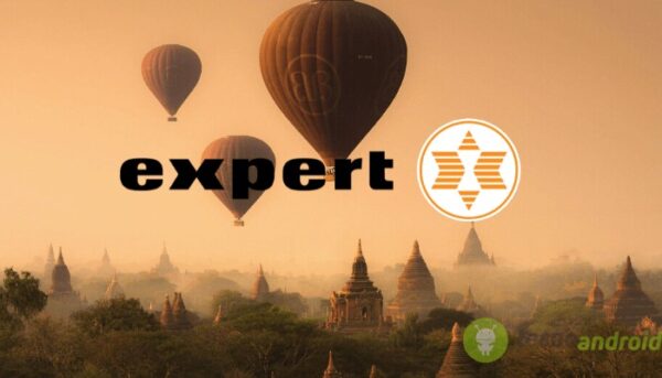 expert