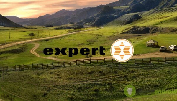 expert