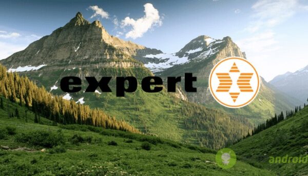 expert