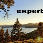 expert