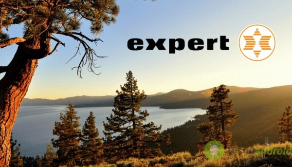 expert