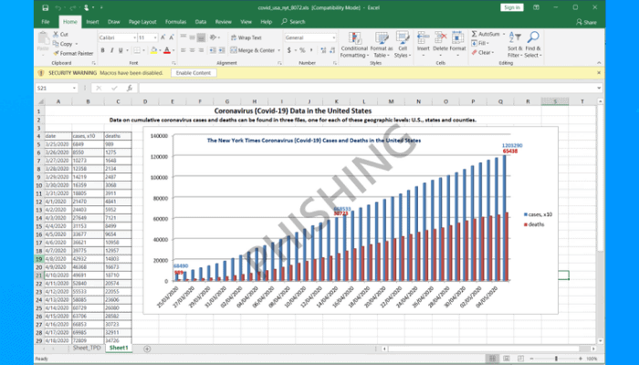 excel-covid-19