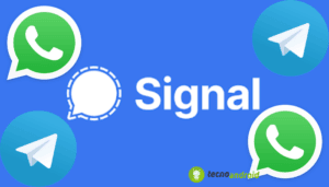 Signal