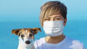 cani fiutano coronavirus