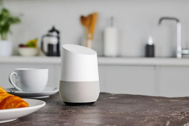 google assistant