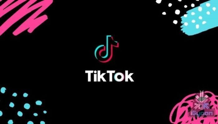 tik-tok-facebook-instagram-download