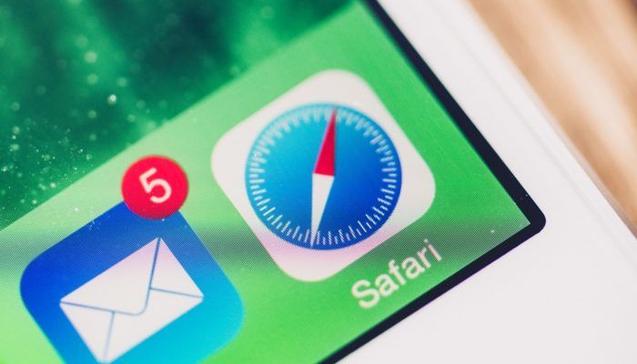 safari