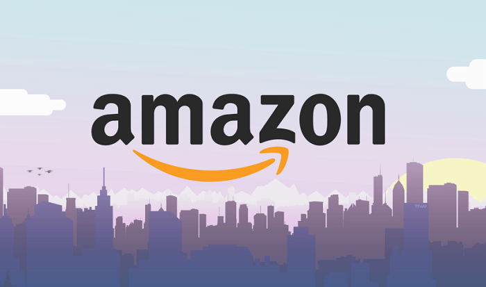 Amazon-in arrivo