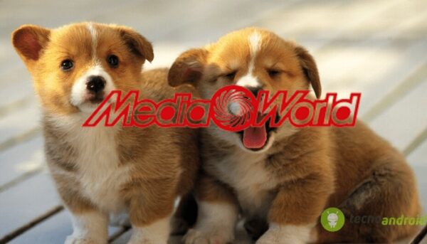 mediaworld