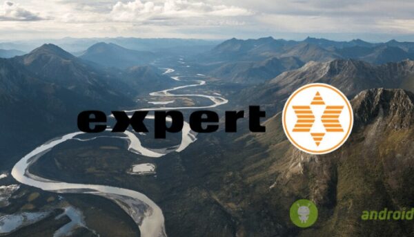 expert