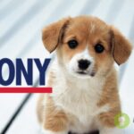 trony
