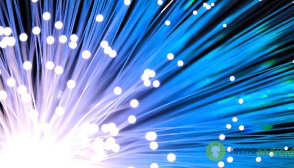 fibra