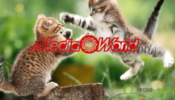 mediaworld
