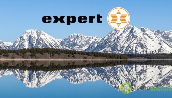 expert
